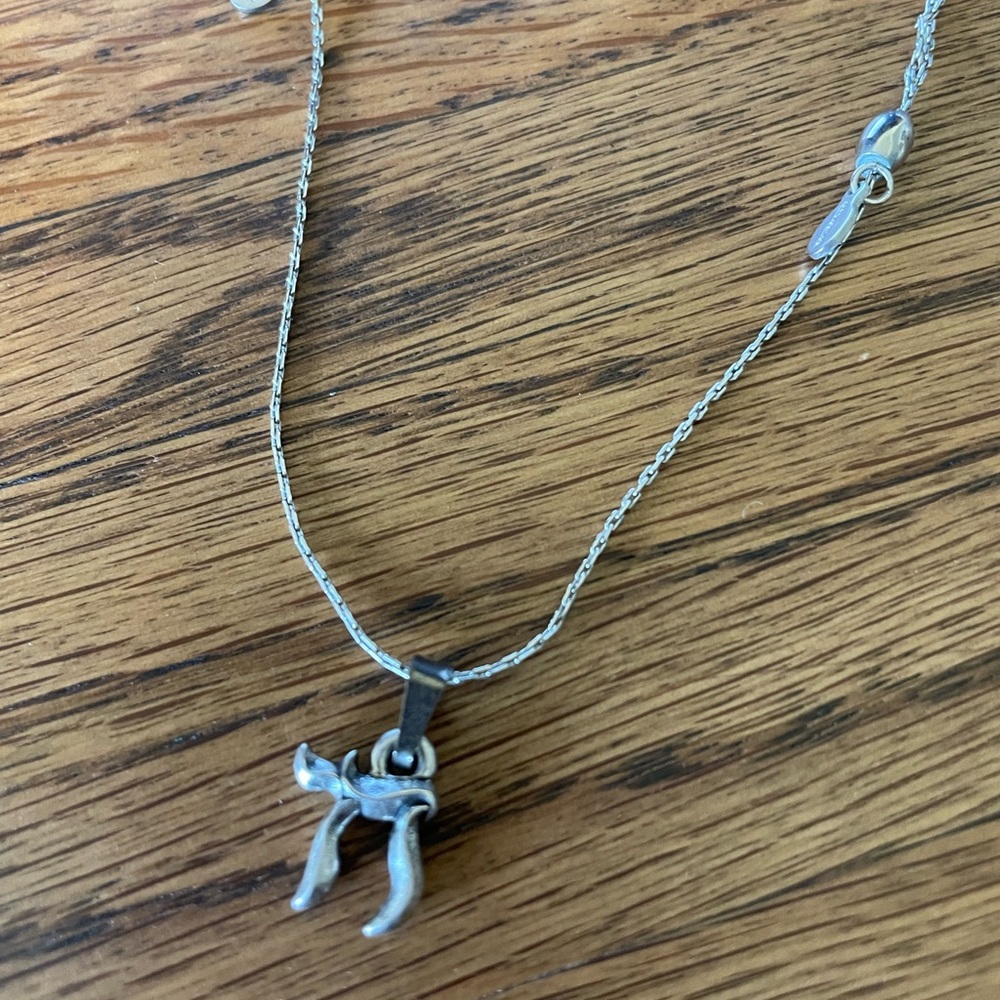 Alex and Ani Pi pull chain necklace
